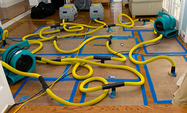 Professional Water Damage Repair technician working in Melvin Village, NH